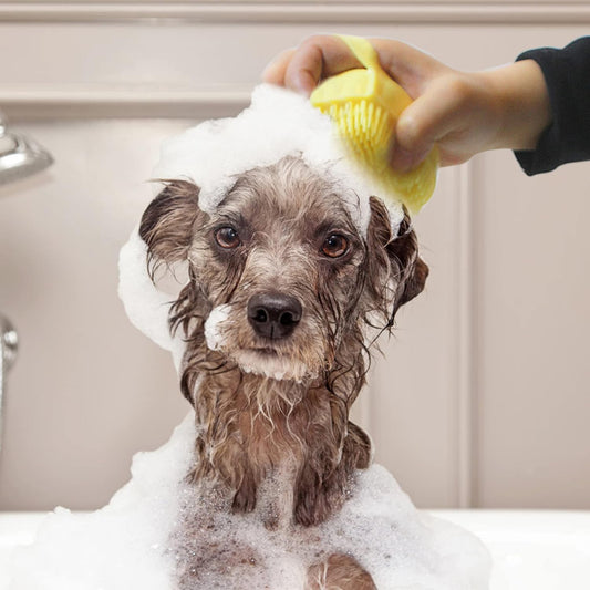 Premium Silicone Pet Grooming Brush - Gentle Fur Care for Dogs & Cats